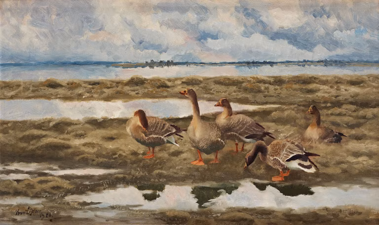 The Shepherd and the Duck Woman